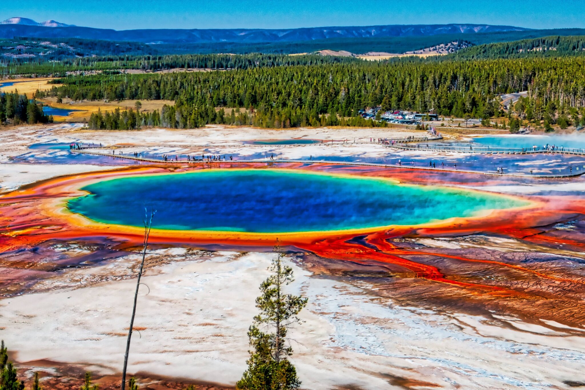 Parque Nacional Yellowstone, una combinación natural perfecta